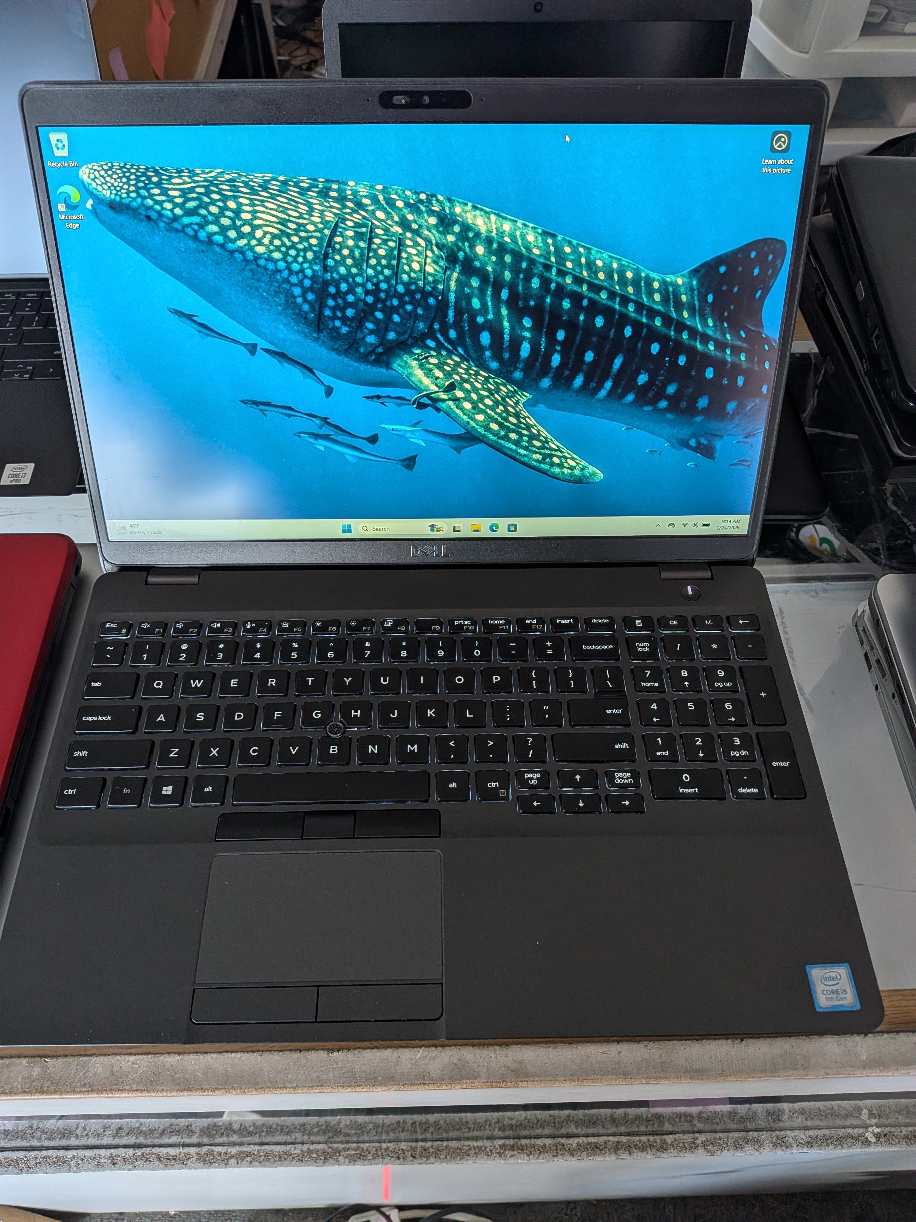 Dell latitude laptop windows 11